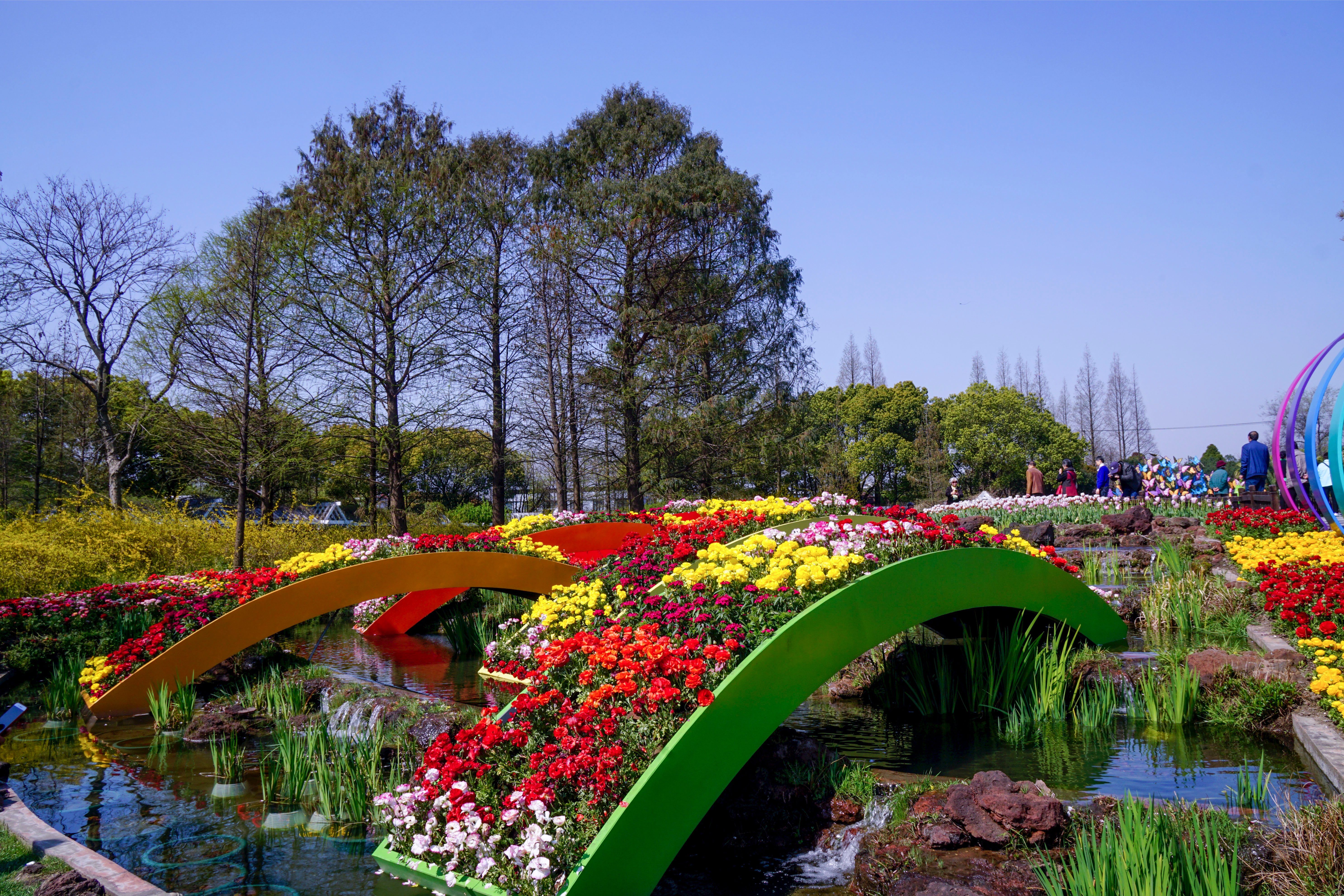 菲律宾沙龙国际北京会_昆明南亚花卉博览中心_北京国际花卉博览会