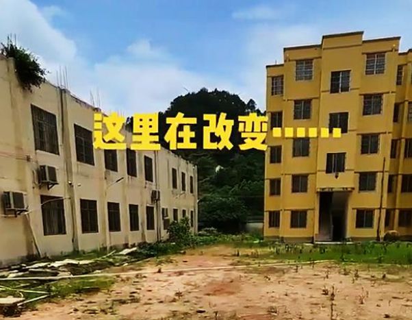 吾唯知吾君可帝中国尔_学生书架中国学生不可不玩的逻辑游戏_学生书架:中国学生不可不知的988个生活常识