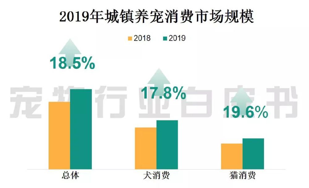 中国宠物行业白皮书 2019中国城镇养宠模破2千亿