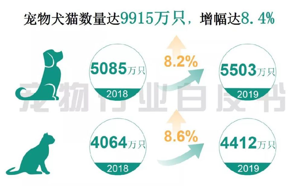 中国宠物行业白皮书 2019中国城镇养宠模破2千亿