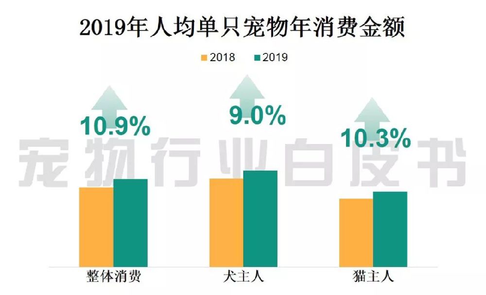 中国宠物行业白皮书 2019中国城镇养宠模破2千亿