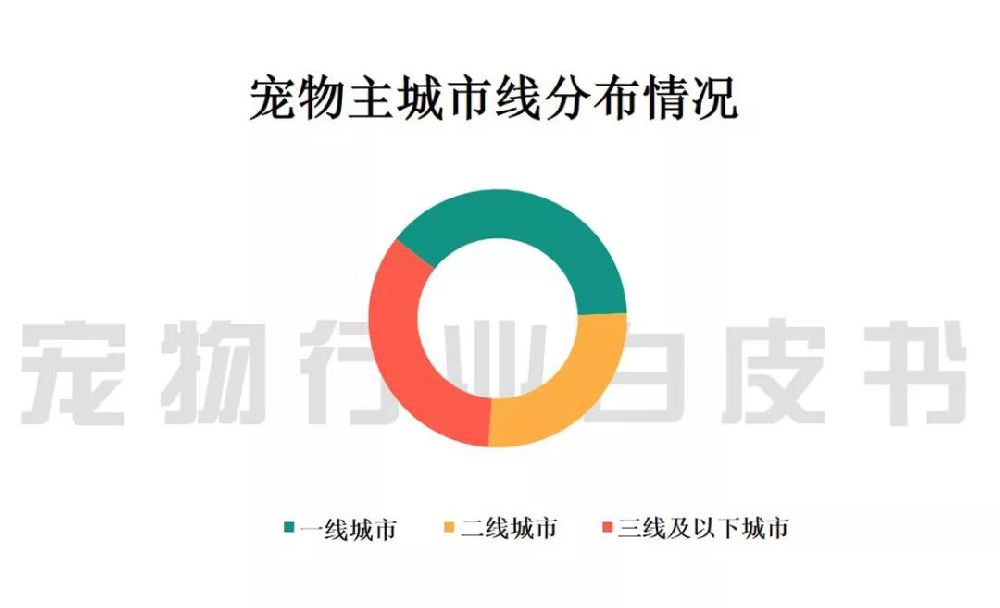 中国宠物行业白皮书 2019中国城镇养宠模破2千亿