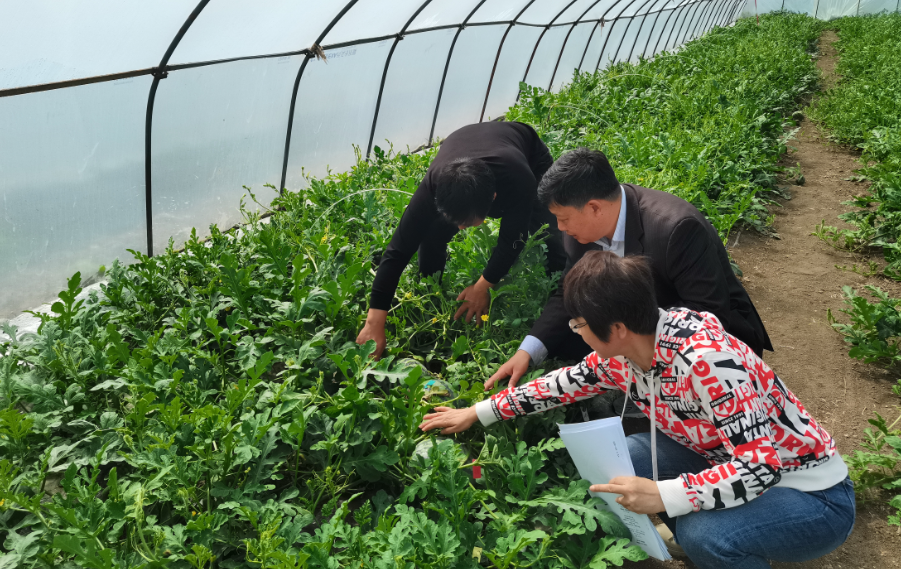 人大代表如何代表人民行使监督职责（上）_领导干部履行监督职责_农产品质量监督员职责