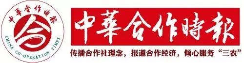 农产品合作社简介展板_尼勒克县李翔宇专业合作社助农增收致富_农产品合作社简介展板