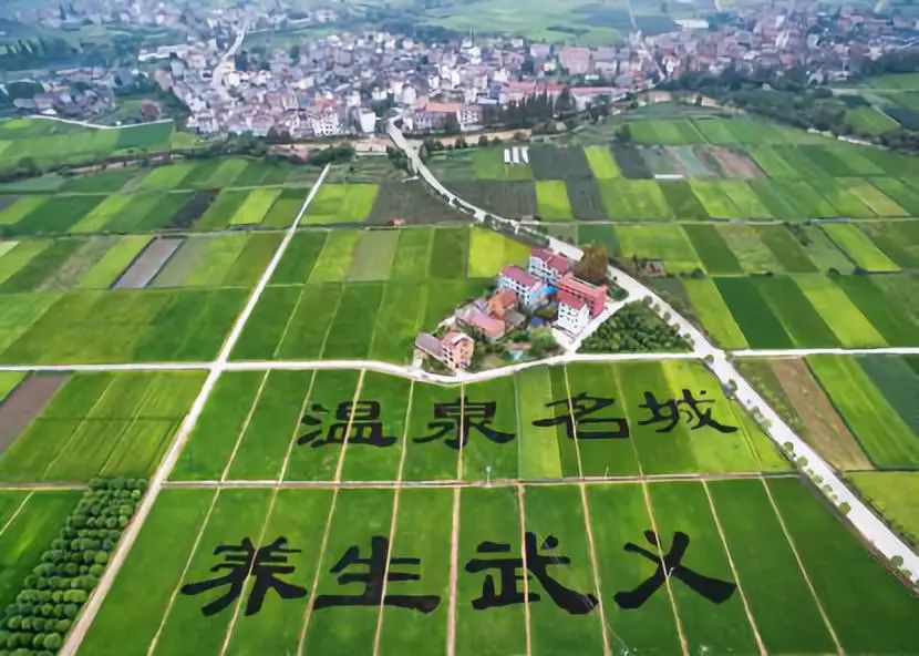 武义温泉节暨国际养生博览会_2015武义温泉节_国际大数据博览201会