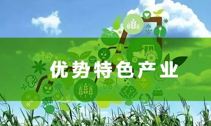 中国农产品国际竞争力研究_中国网络国际新闻报道研究_中国地方政府竞争研究