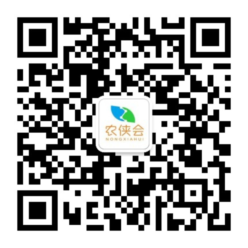 互联网 担挑网农电商服务平台_首农中科电商谷康京围_农产品电商模式