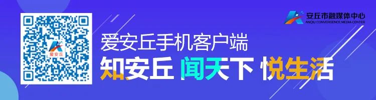 山东农产品信息网_山东人事考试信息官网_山东高考信息平台官网