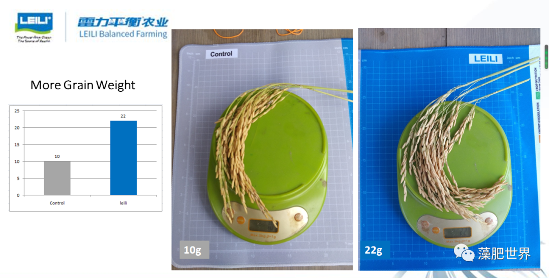 网销宝推广产品不同需要分类推广吗_国内有哪些网站是免费发布推广_国内外农产品推广