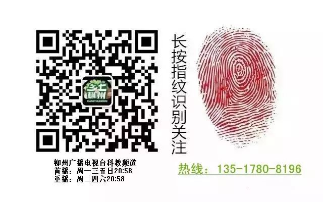 茶展会_普通展会 专业展会_山东茶博会11月份展会2015