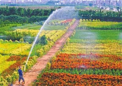 广州市国际花卉博览会_广州性文化博览/会_王充博览里的市