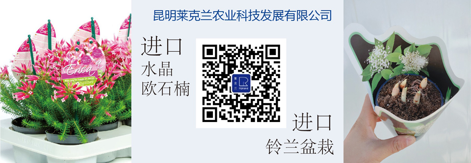 2014中博会保利世贸博览馆,广州国际采购中心展馆_2014年夏季广州婚博会深圳市港中国际旅行社_广州市国际花卉博览会