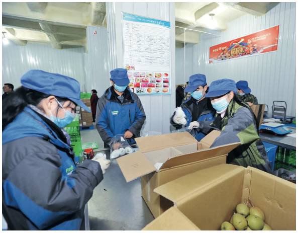 农产品冷链物流管理_宣城皖江冷链农商城_生鲜产品冷链物流论文