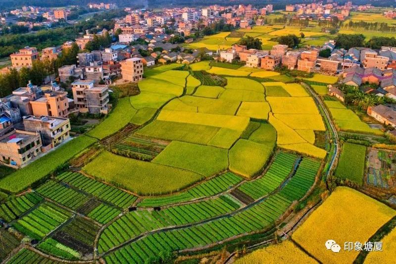 农广天地种植_农产品特色种植_农林网果树种植