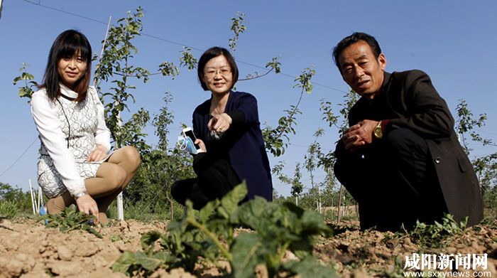 农广天地种植_农产品特色种植_农林网果树种植