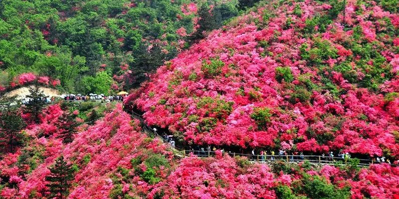 广州旅游博览会_2014年3月2日苏州工业园区博览中心建材团购会_广州性文化博览/会