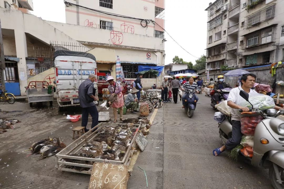 广西农产品批发市场_农业科技产品_万村千乡市场工程是否与银行卡助农取款功能重叠