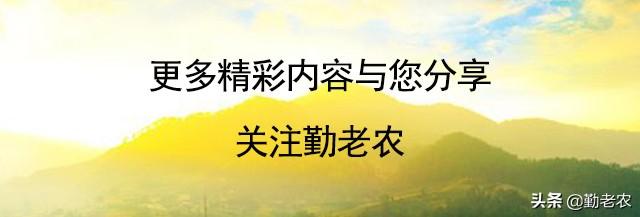 怎么做微商卖农产品_微信卖什么产品最畅销_微信公众号卖产品