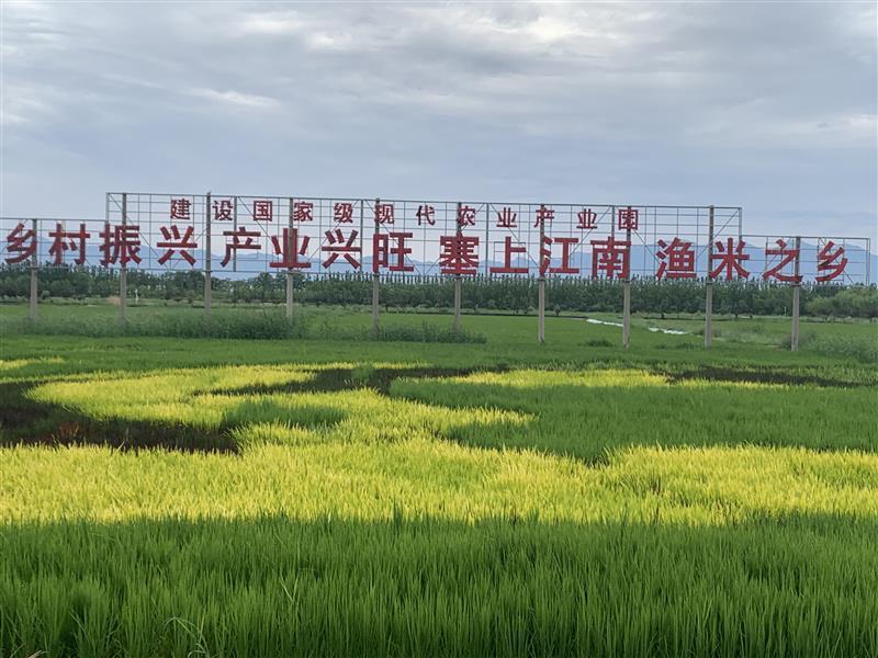 农商行利享存是理财产品_宁夏农投集团领导班子_宁夏特色农产品是什么