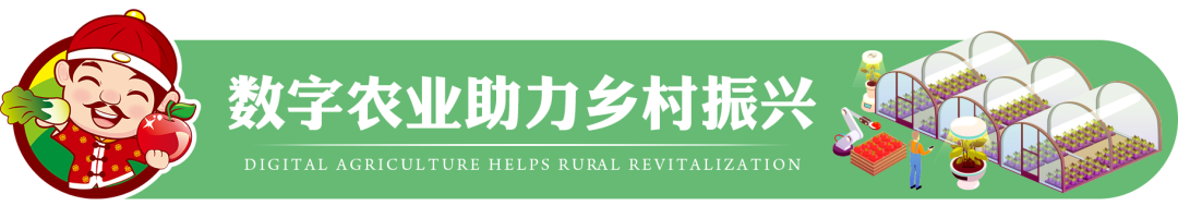 宿迁华东农业大市场_宿迁二手房出售信息_宿迁农产品信息