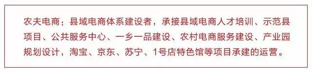 单农男装网店_单农为何没有网店_农产品网店的成功案例