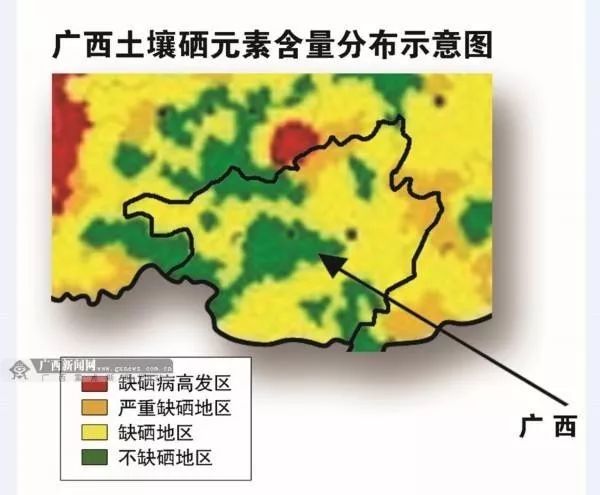 广西富硒农产品_广西富硒农产品标准_安康富硒产品 解放网