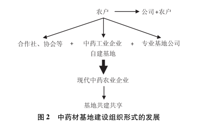 食品贮藏保鲜 课件_农产品贮藏保鲜现状_果蔬贮藏保鲜技术