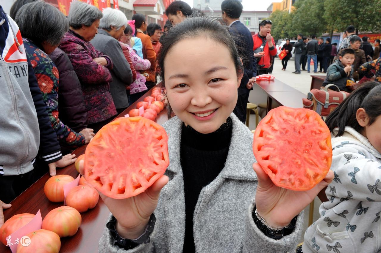 农产品信息与市场营销_产品信息饥饿营销_产品结构图和产品信息结构图