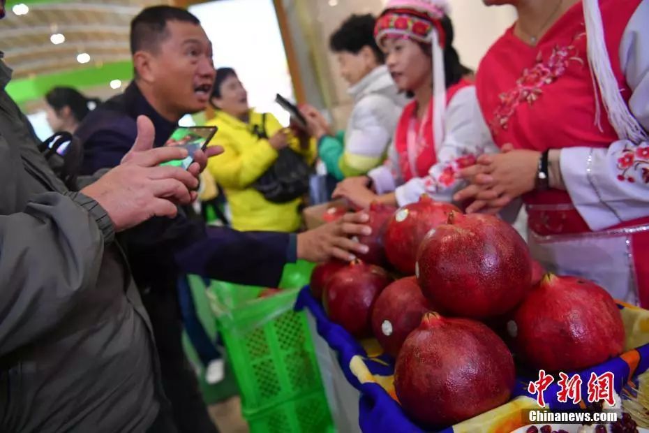 农产品淘宝出来的_农行的理财产品购买后起息日_农行的保险理财产品