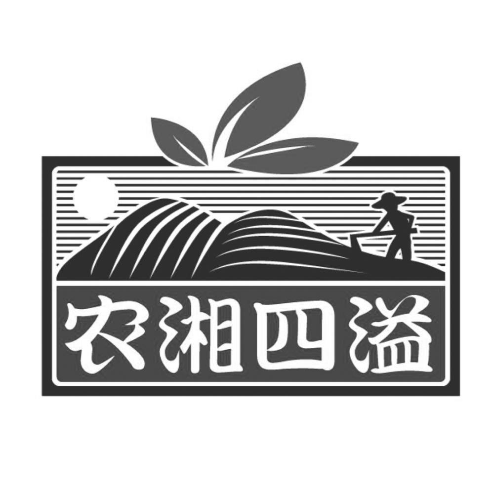 农行网银交易失败_阿里巴巴第七届网商大会及阿里巴巴网商交易会_阿里巴巴农产品交易网