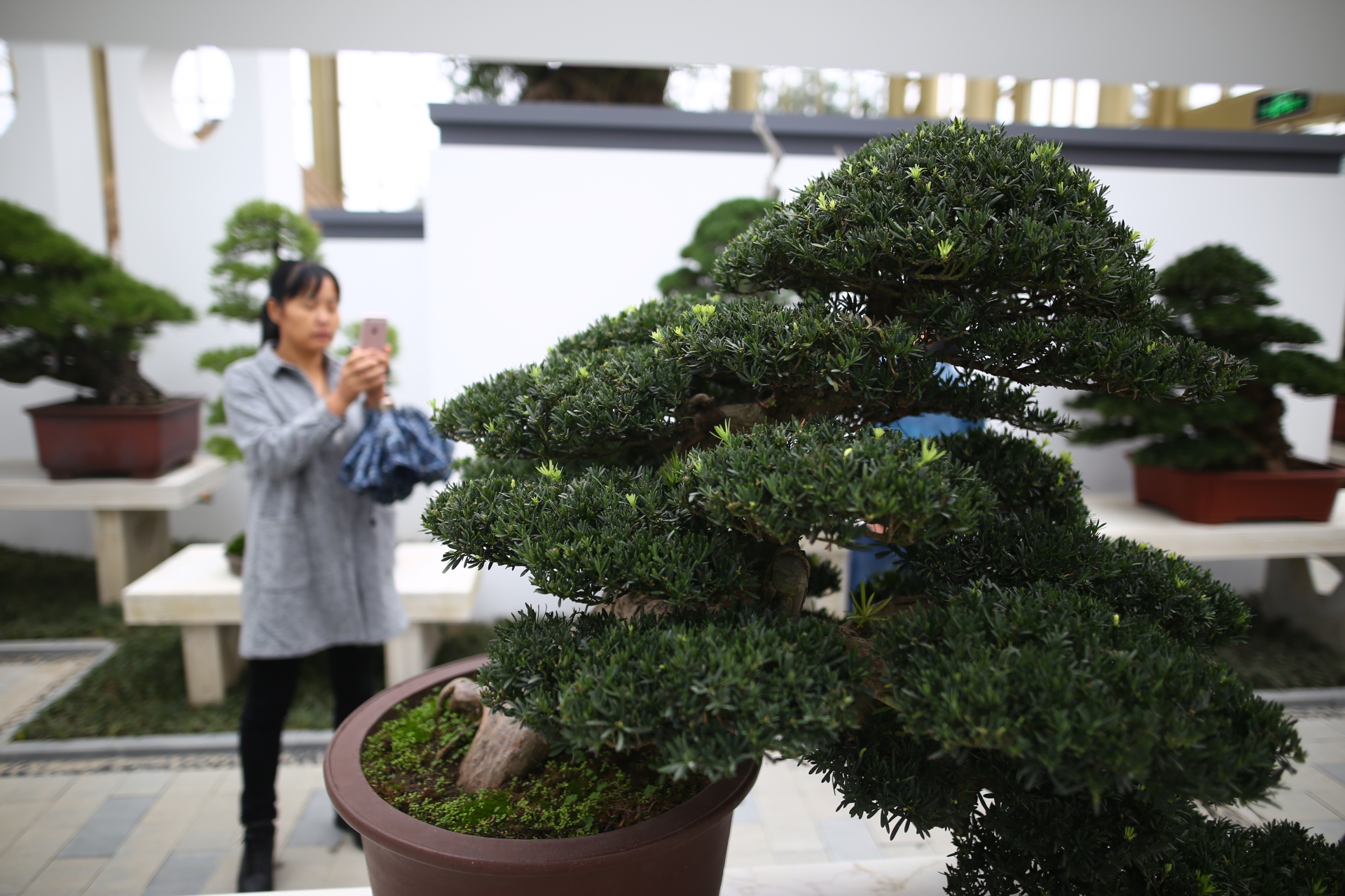 农行的理财产品有风险吗_农产品拍卖_诸城市农商行拍卖