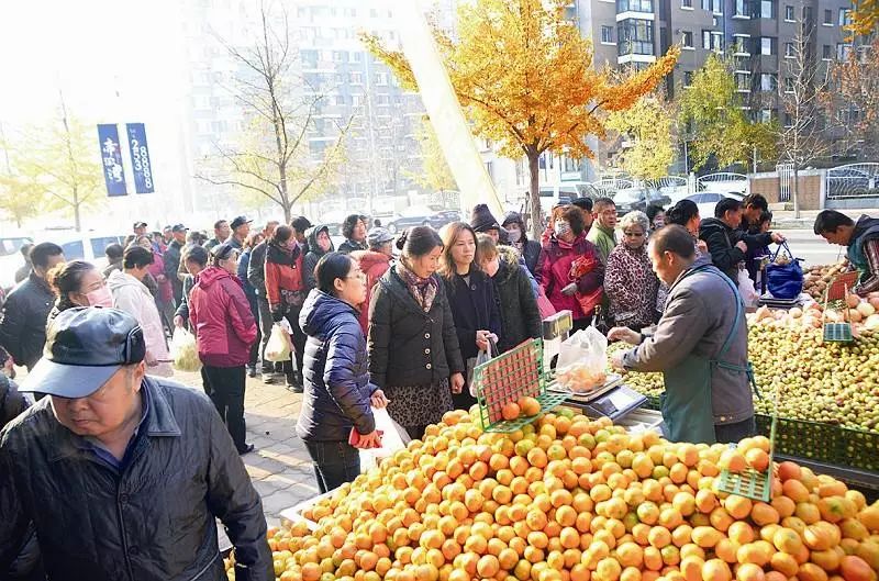 农产品滞销对策_农产品滞销对策_产品发展对策