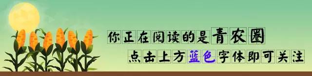 产品漏检原因改善对策_农产品滞销对策_农产品滞销的原因对策