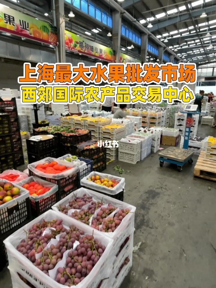 中国农产品交易网_中国金属交易官网_中国胶带交易 网