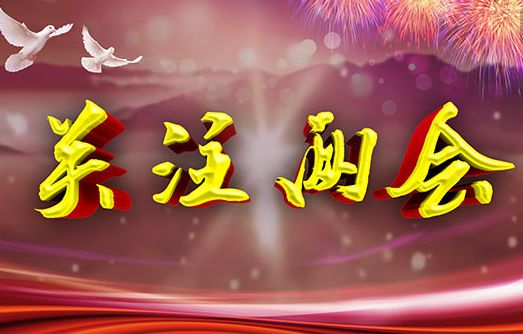 两会民生热点直销话题_2016两会民生热点话题教育_2017两会民生热点