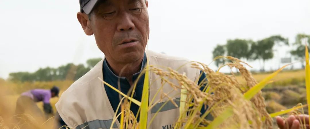 黑龙江农保_黑龙江军垦农副业基地_黑龙江农产品集散地