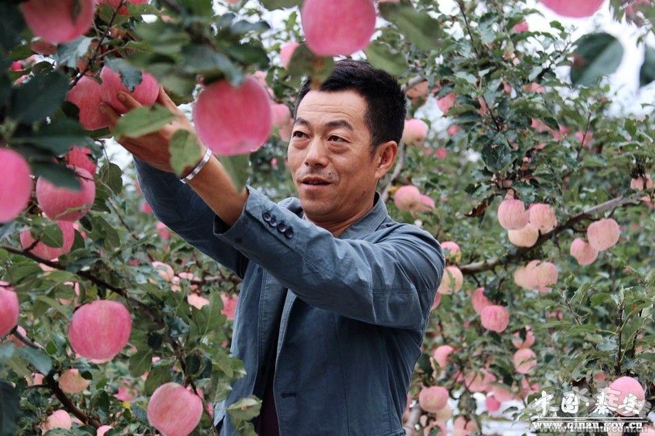 天水甘肃银行_甘肃天水农产品_天水农业白娃娃项目