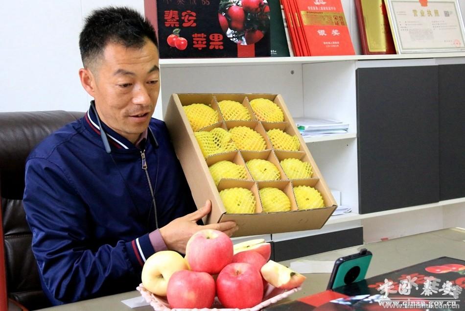 天水农业白娃娃项目_天水甘肃银行_甘肃天水农产品