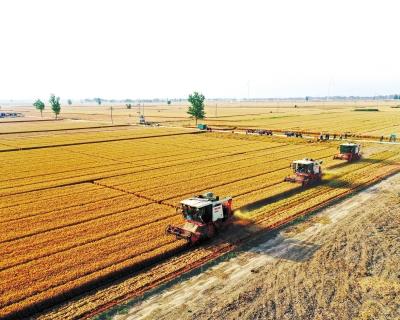 农产品加工率_农村小水泥制品加工_农广天地零食加工