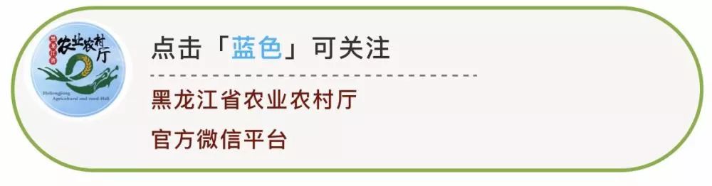 黑龙江八一农大新域名_黑龙江北大荒农麦集团_黑龙江农产品期货市场