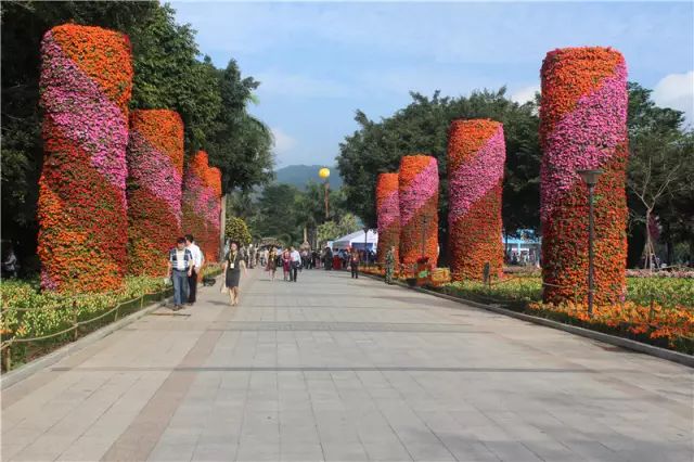 漳州花卉博览会_漳州花卉批发市场_漳州花卉交易中心