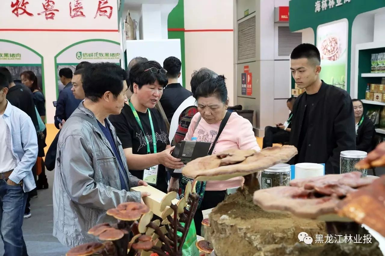 淄博国际陶瓷博览会人体彩会日志_黑龙江绿色食品博览会_园区博览中心家博会