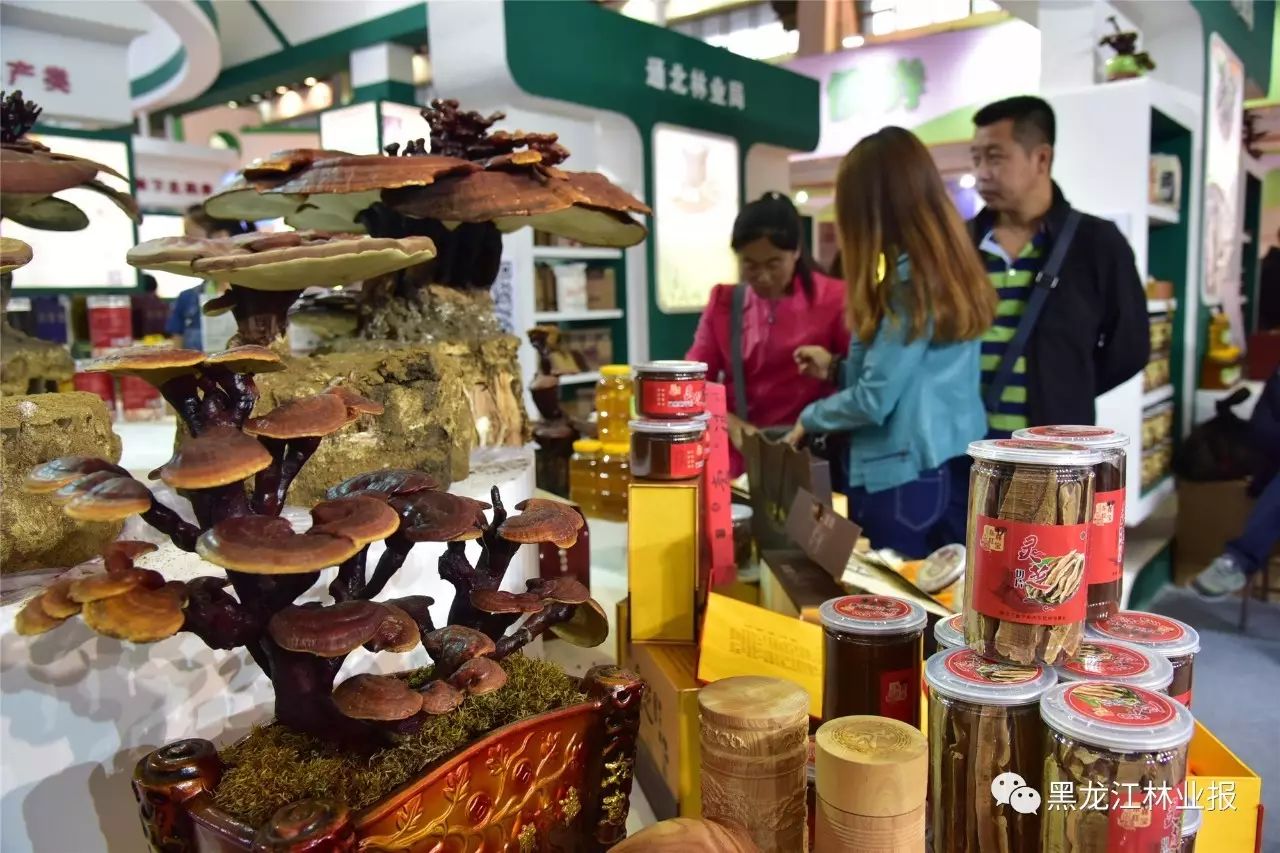 黑龙江绿色食品博览会_园区博览中心家博会_淄博国际陶瓷博览会人体彩会日志